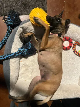 Ms Maddie - Located in Texas
