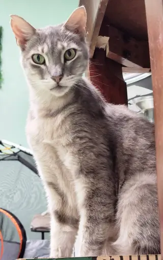 Wiley