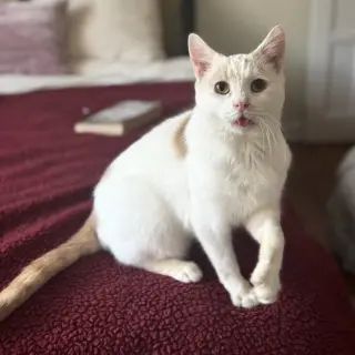 Floyd (bonded to Earl)
