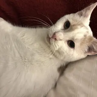 Floyd (bonded to Earl)
