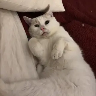 Floyd (bonded to Earl)