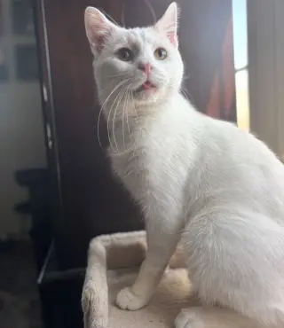 Floyd (bonded to Earl)