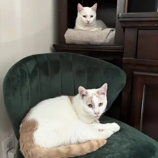 Earl (bonded to Floyd)