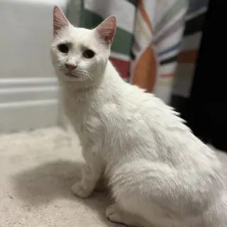 Earl (bonded to Floyd)