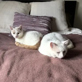 Earl (bonded to Floyd)