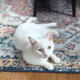 Earl (bonded to Floyd)