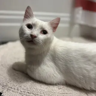Earl (bonded to Floyd)