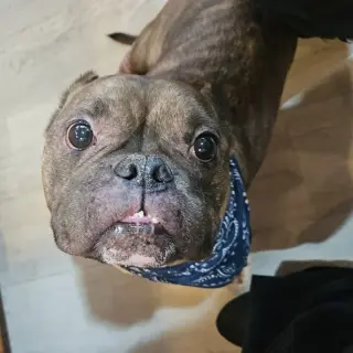 Smidge