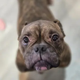 Smidge