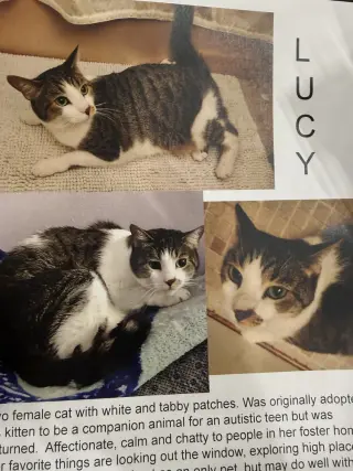 Lucy