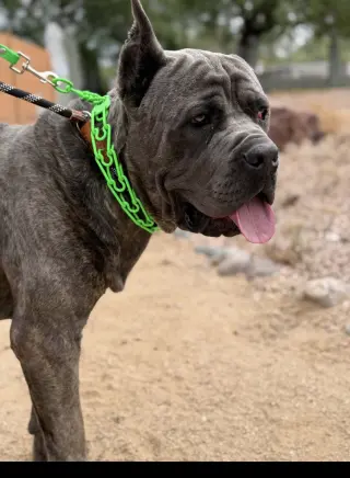 Max