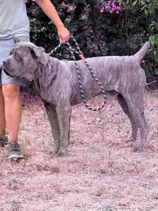 Max