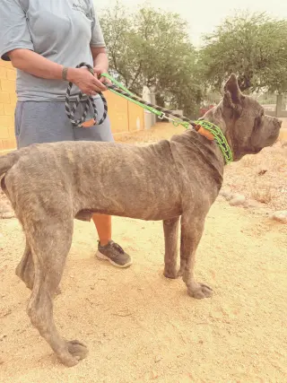 Max