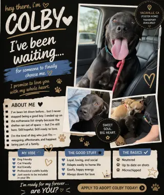 Colby