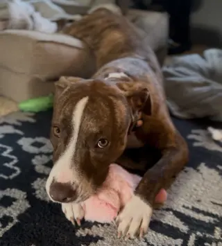 Kiki