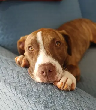 Kiki