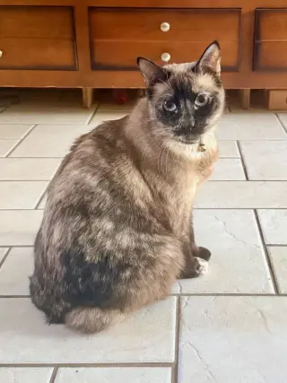 Eva
