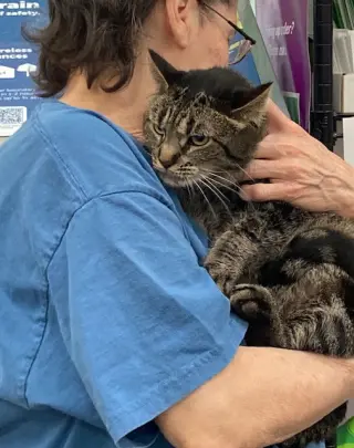 Meribeth bonded with Little Cutie
