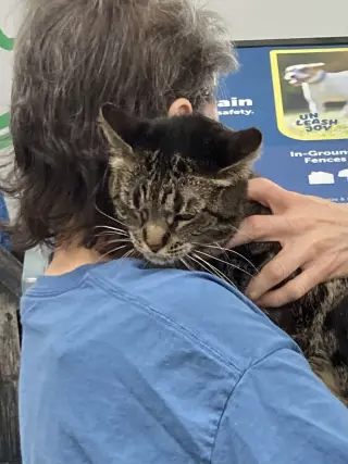 Meribeth bonded with Little Cutie