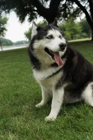 Mia