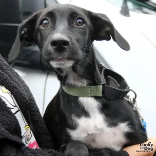 Pablo