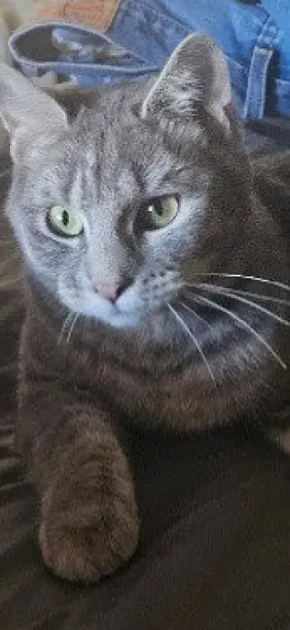 Toni