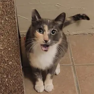 Lena