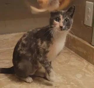 Lena