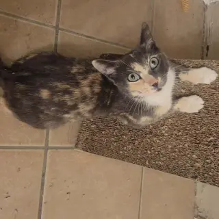 Lena