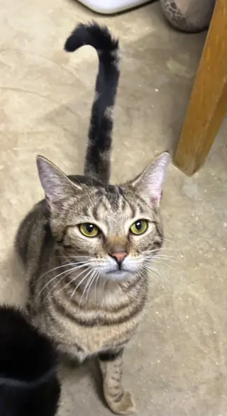 Gloria