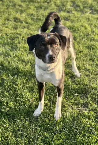 Lucy