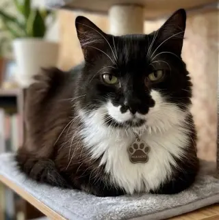 Charlie