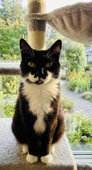 Charlie