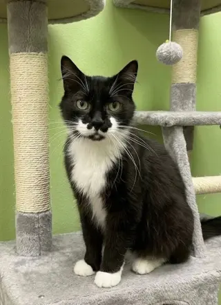 Charlie