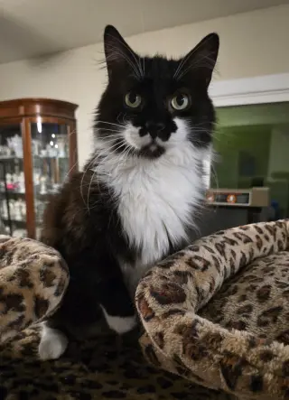 Charlie