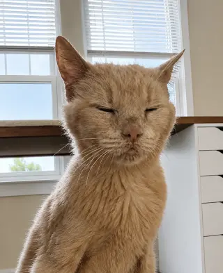 Horace (bonded to Silas)