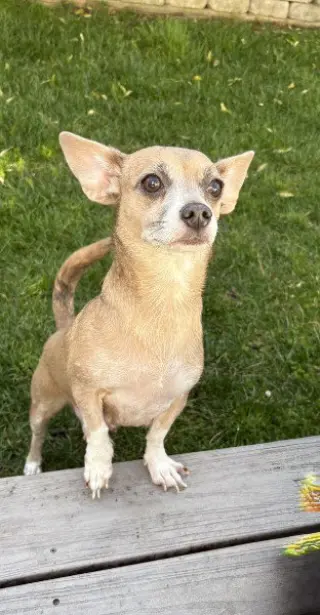 Skyla - Loving Mama