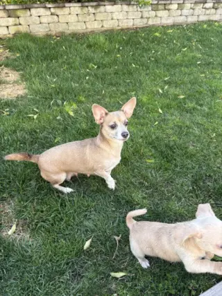 Skyla - Loving Mama