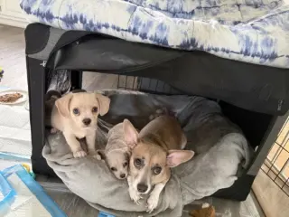 Skyla - Loving Mama