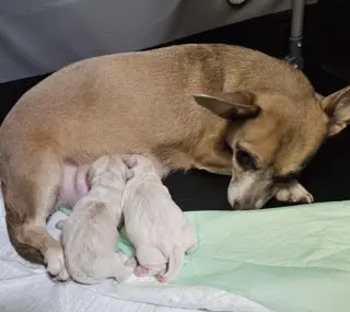 Skyla - Loving Mama