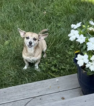 Skyla - Loving Mama