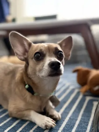 Skyla - Loving Mama