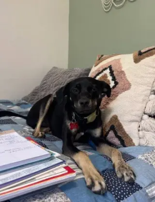 Kali