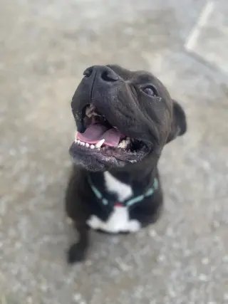 Zeus Maximus