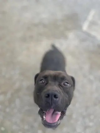 Zeus Maximus