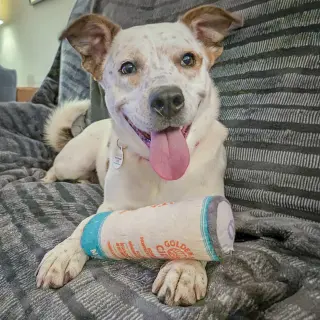 Zee