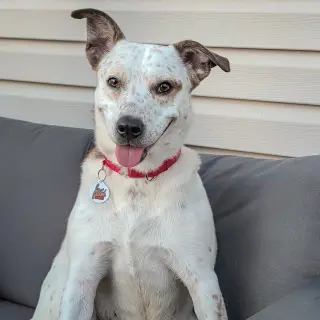 Zee