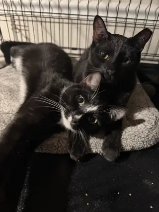 Midnight & Alex
