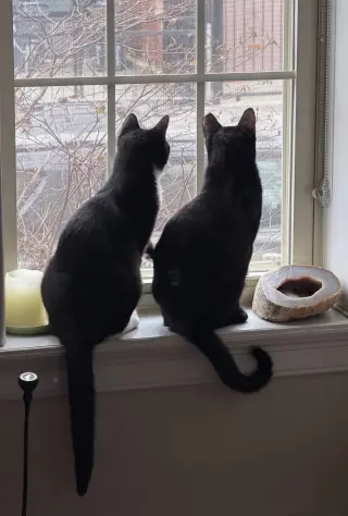 Midnight & Alex