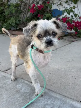 Bug